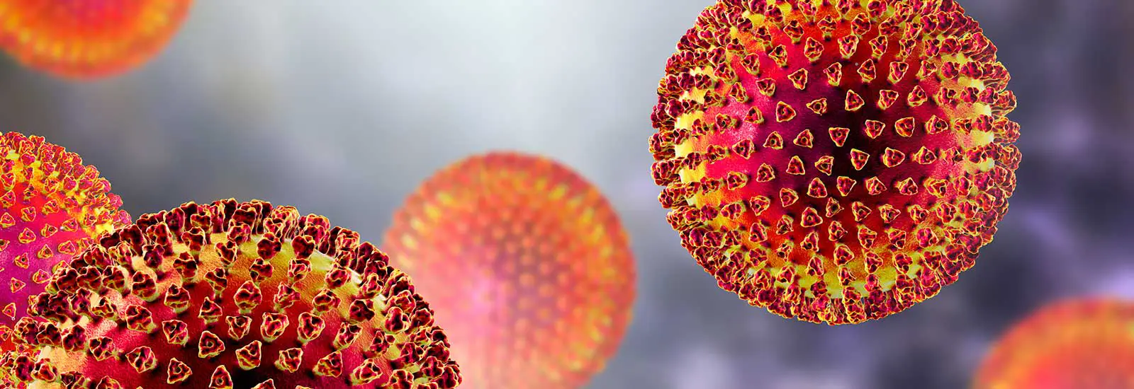 Viruses with surface spikes