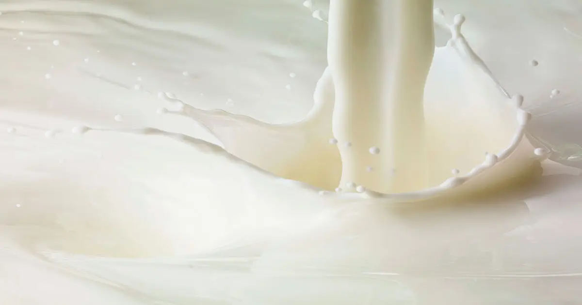 How Colostrum Quality