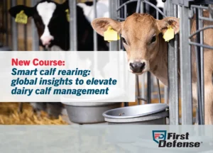Smart Calf Rearing