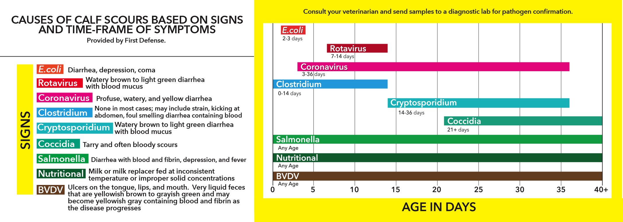 Scours Chart English