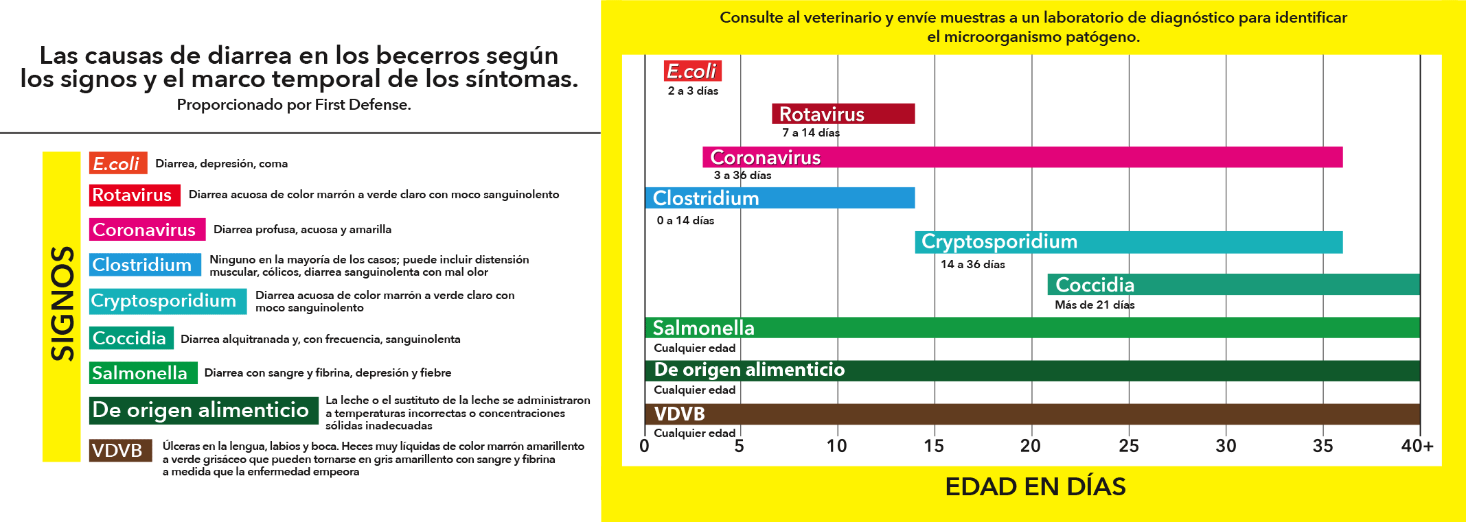 Scours Chart Spanish